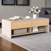 Home Coffee Table with 2 Drawers and 2 Storage Shelf