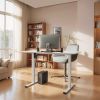Electric Standing Desk Whole Piece Adjustable Height Desk Home Office Computer Workstation Sit Stand up Desk (White Frame + White Top)